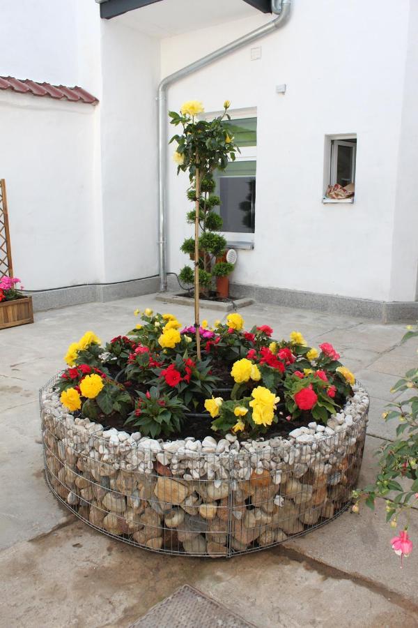 Pension Budissin Budyšín Exteriér fotografie